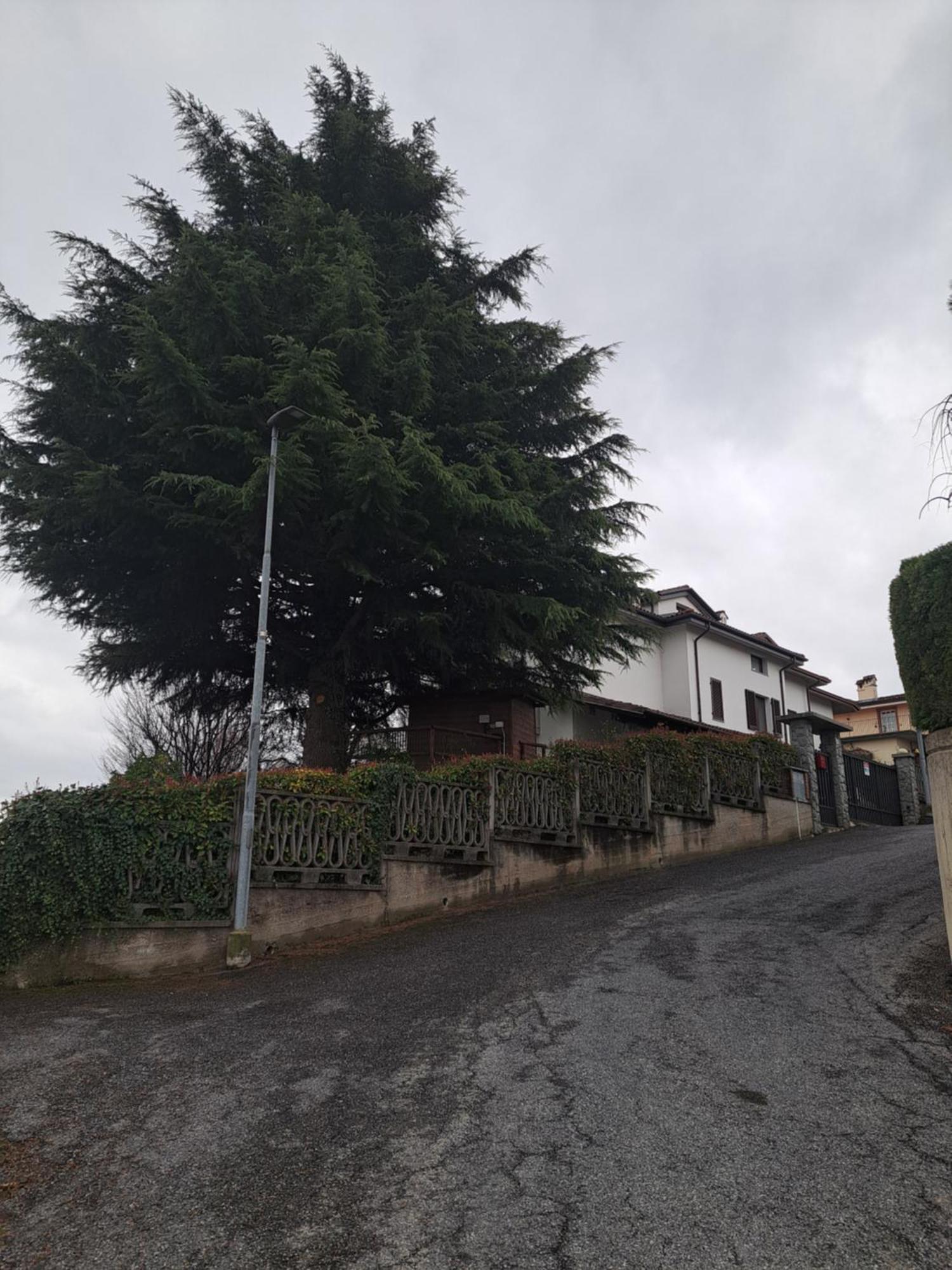 Cannubi San Lorenzo